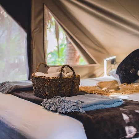 Nativus Glamping & Cenote Tulum Hotel Bagian luar foto