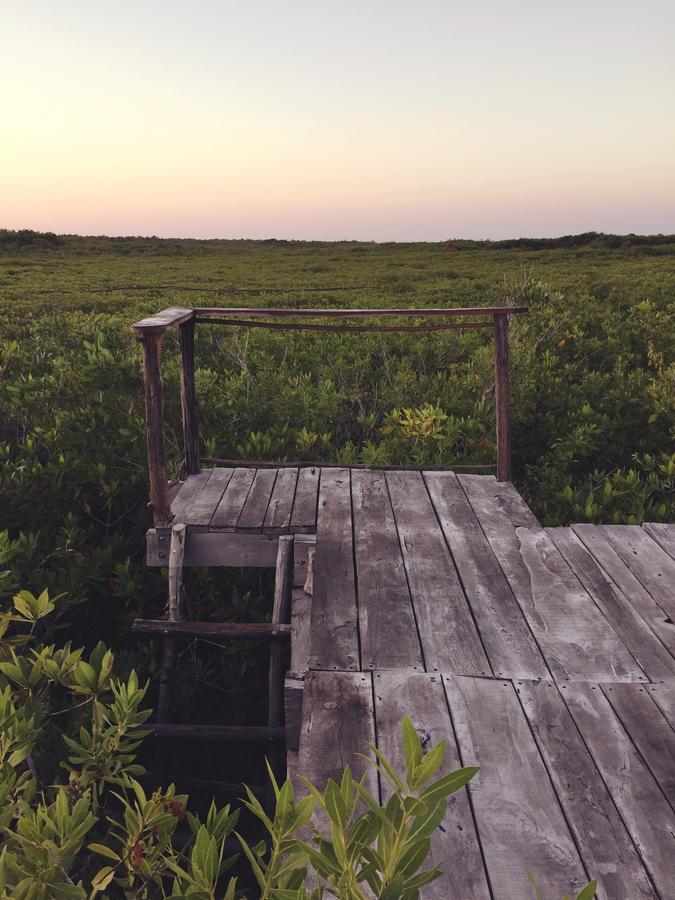 Nativus Glamping & Cenote Tulum Hotel Bagian luar foto