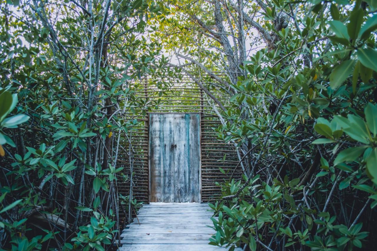 Nativus Glamping & Cenote Tulum Hotel Bagian luar foto